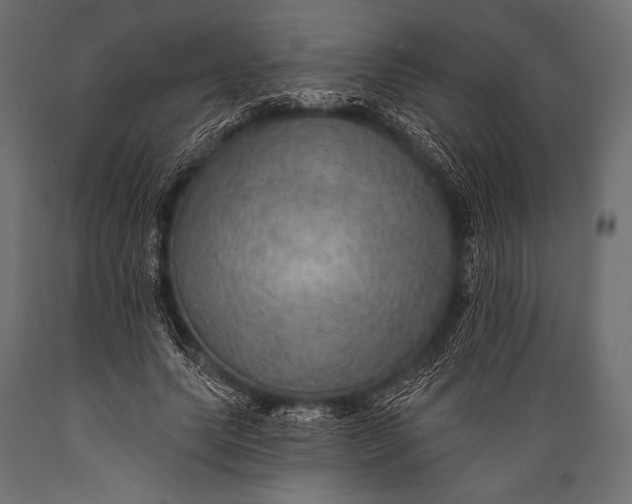 X0000088870639200706291541