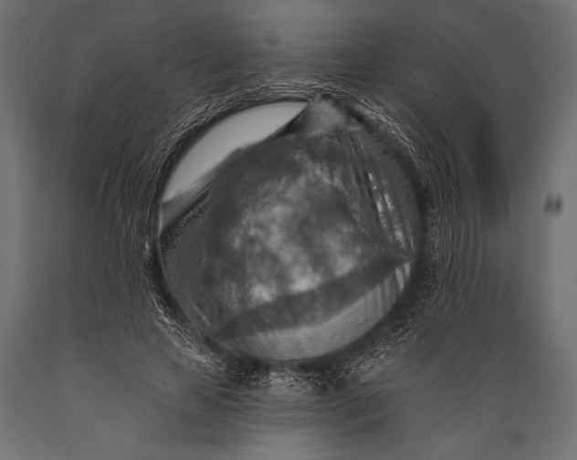 X0000088870641200706291541