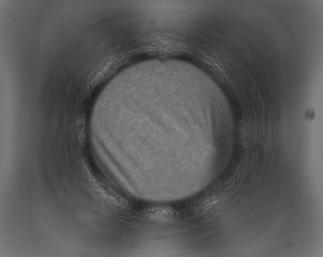 X0000088870642200706291541