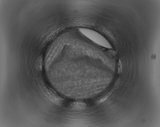 X0000088870644200706291541