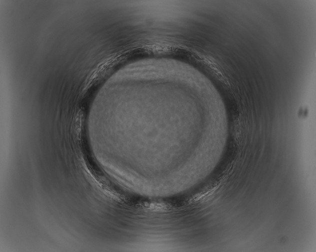X0000088870645200706291541