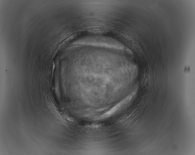 X0000088870647200706291541