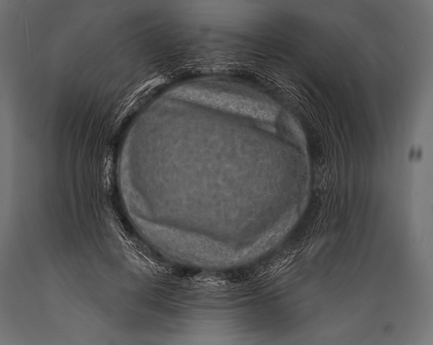 X0000088870648200706291541
