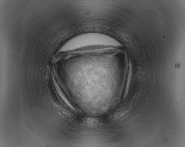 X0000088870649200706291541