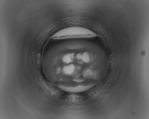X0000088870650200706291541