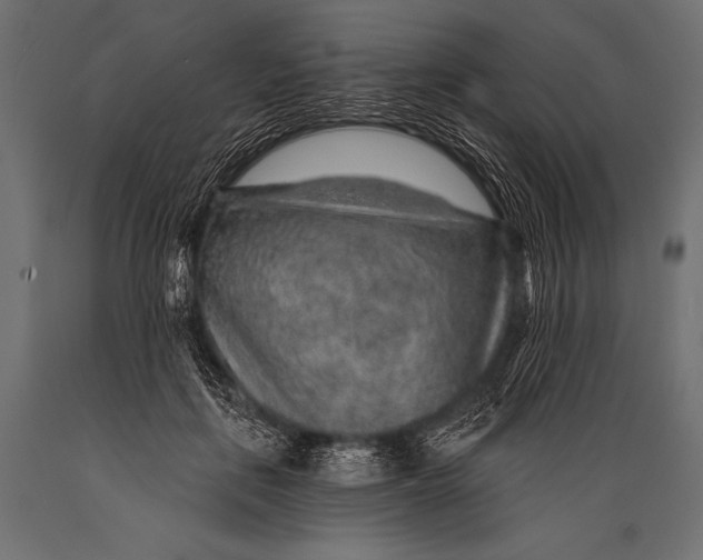 X0000088870651200706291541