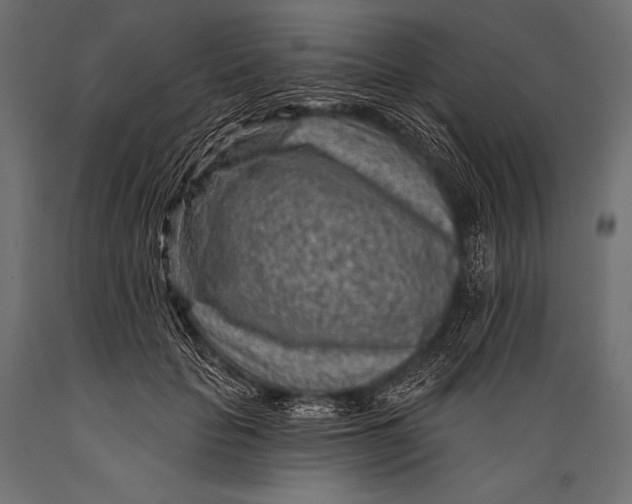 X0000088870653200706291541