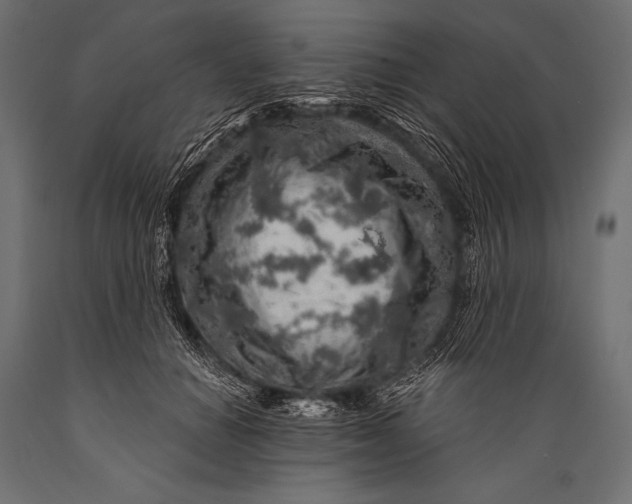 X0000088870654200706291541