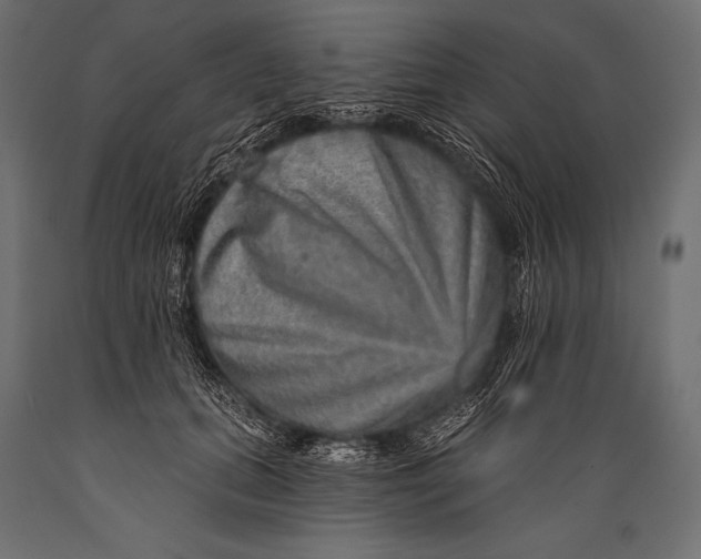 X0000088870655200706291541