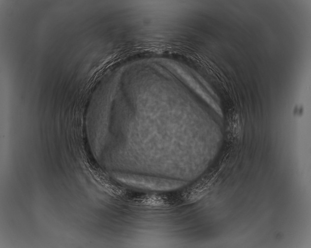 X0000088870656200706291541