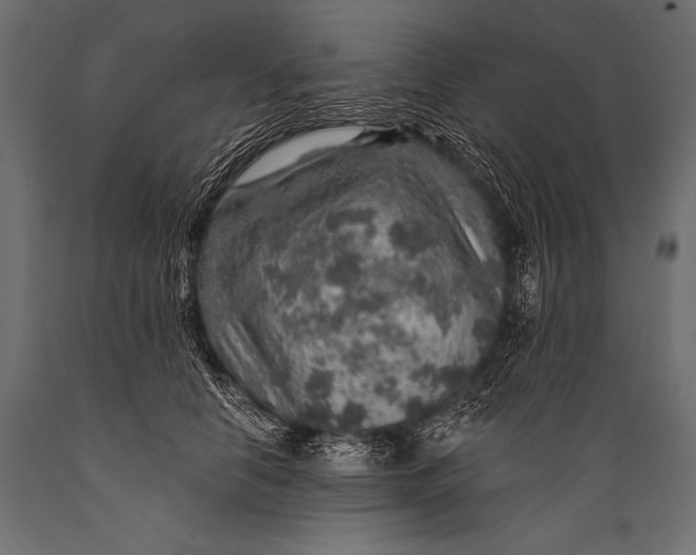 X0000088870658200706291541