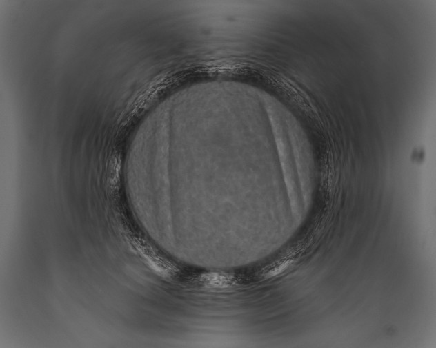 X0000088870660200706291541