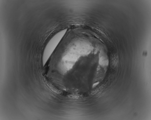 X0000088870661200706291541
