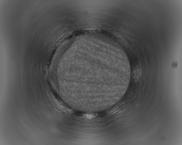 X0000088870662200706291541
