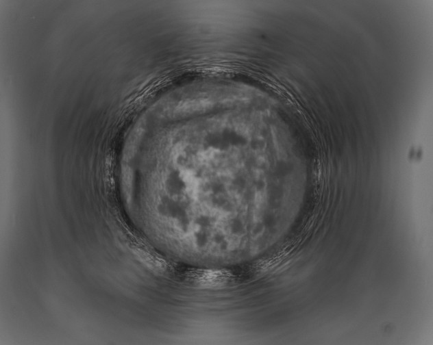 X0000088870663200706291541
