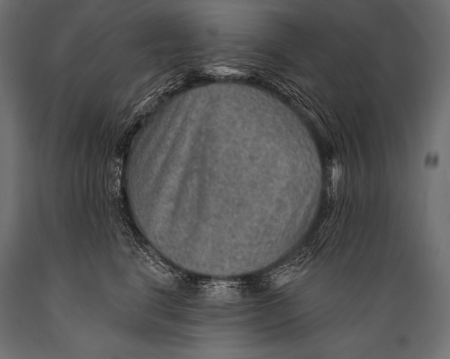 X0000088870664200706291541