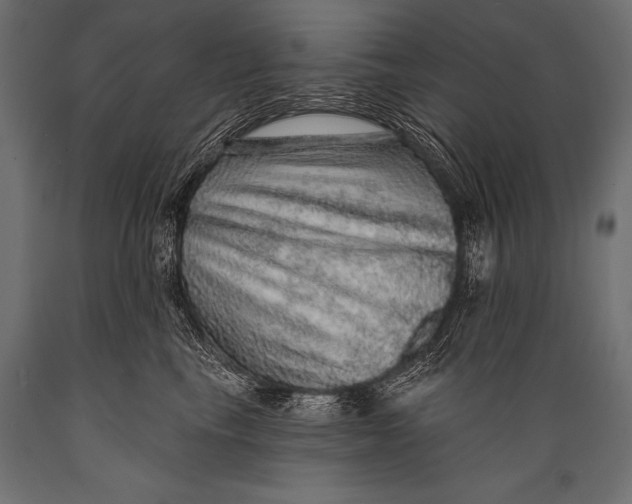 X0000088870665200706291541