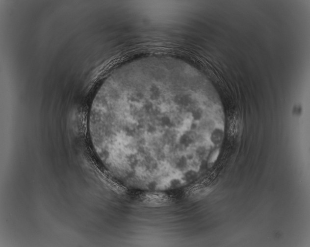 X0000088870666200706291541