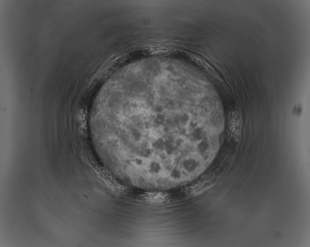 X0000088870667200706291541
