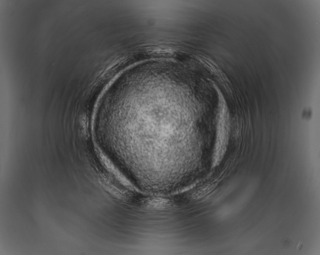X0000088870669200706291542