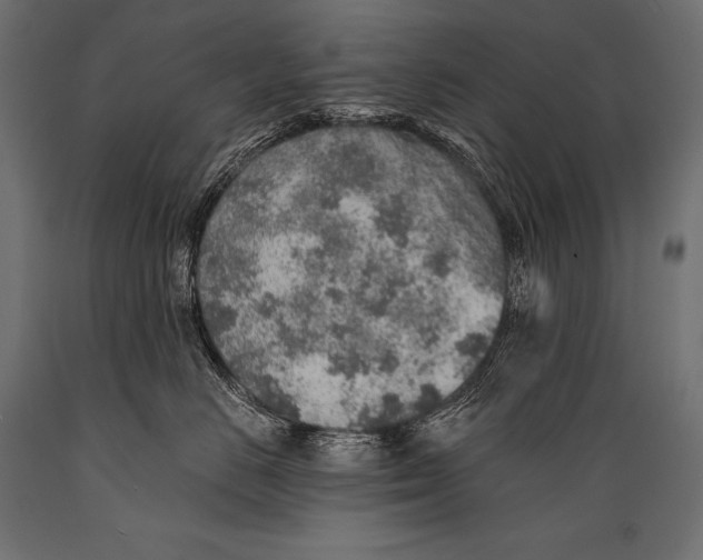 X0000088870670200706291542