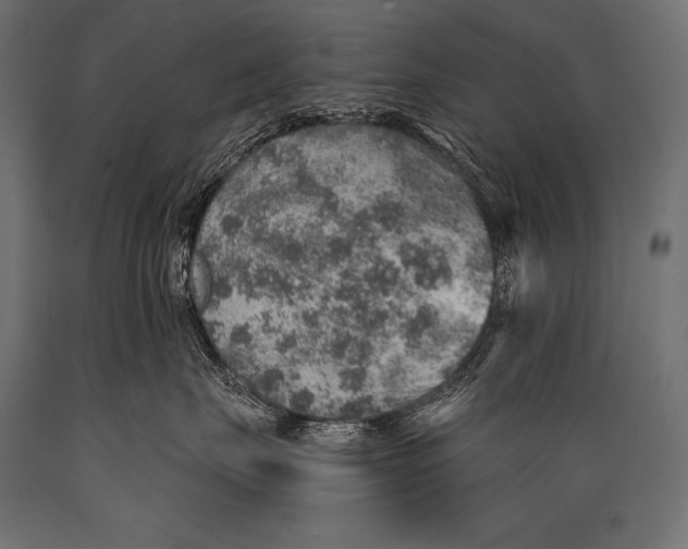X0000088870671200706291542