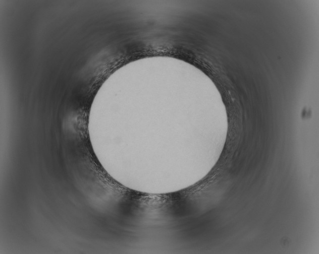 X0000088870672200706291542