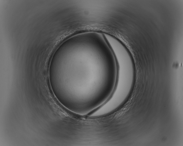 X0000088870673200706291541