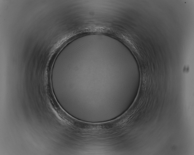 X0000088870674200706291541