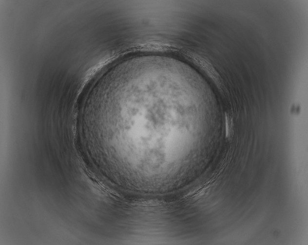 X0000088870675200706291541