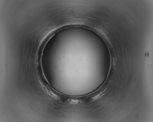 X0000088870676200706291541