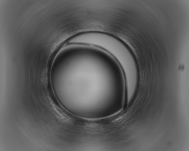 X0000088870677200706291541