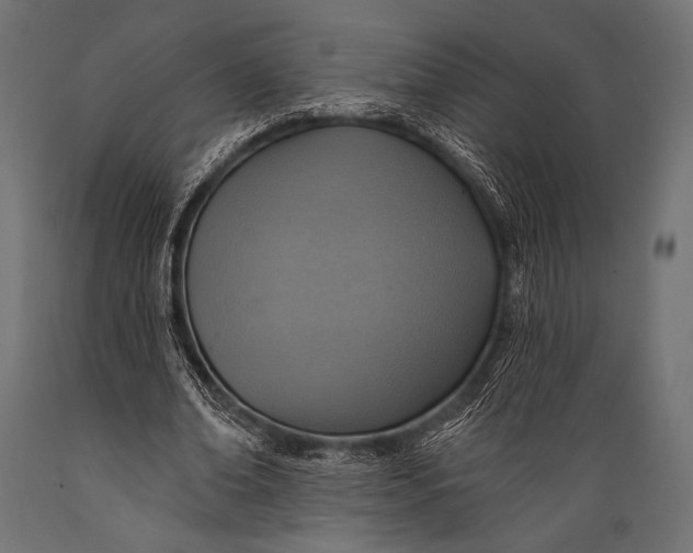 X0000088870678200706291541