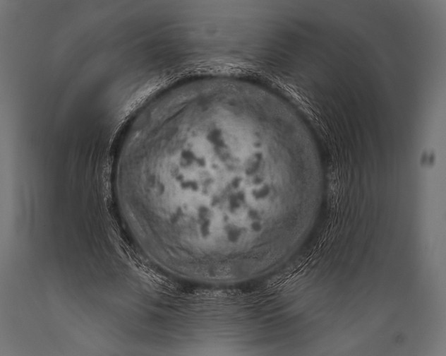 X0000088870679200706291541