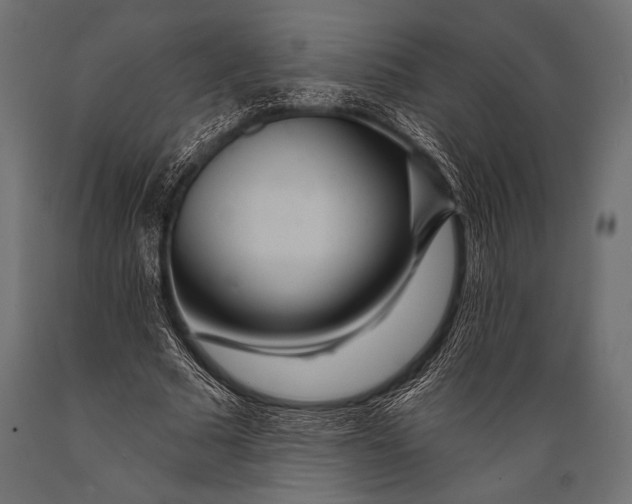 X0000088870681200706291541
