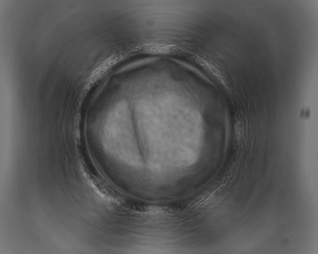 X0000088870682200706291541
