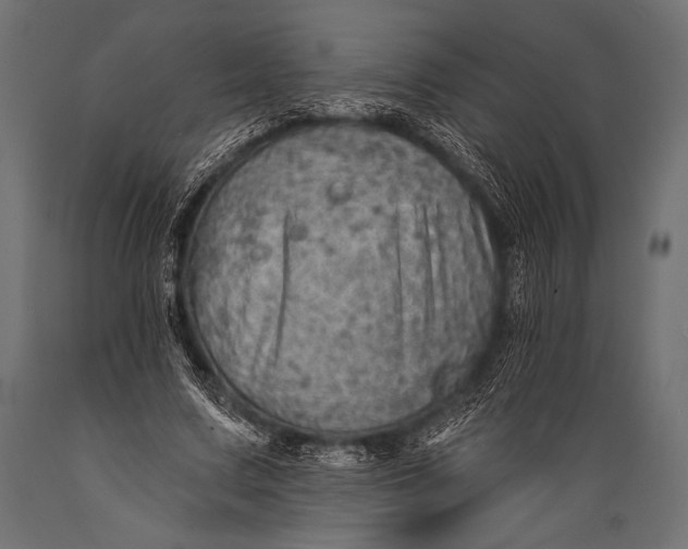 X0000088870683200706291541