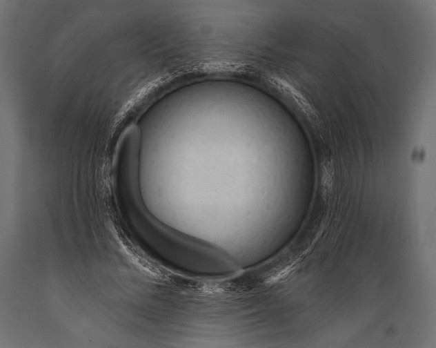 X0000088870684200706291541