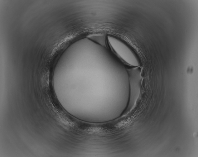 X0000088870685200706291541