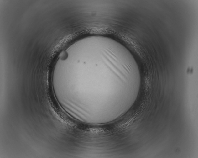 X0000088870686200706291541