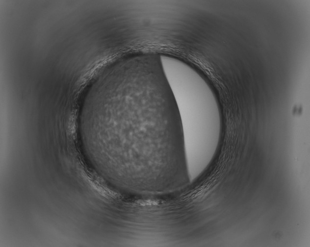 X0000088870687200706291541