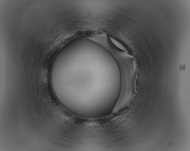 X0000088870689200706291540