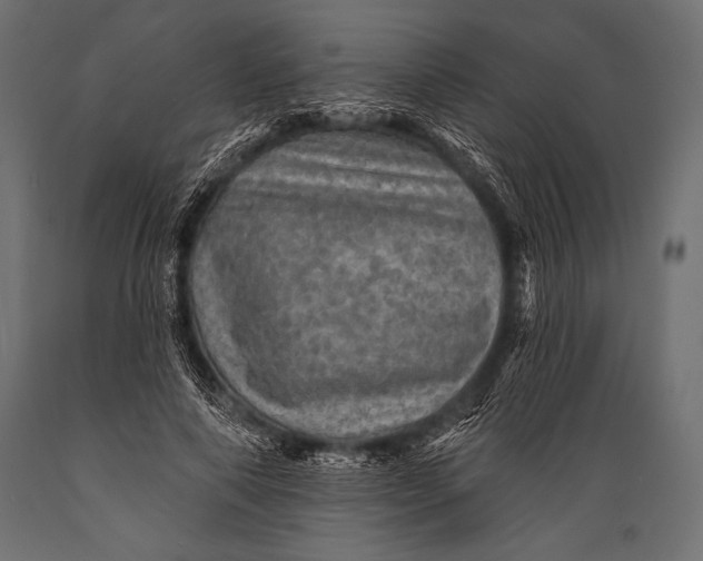 X0000088870690200706291540