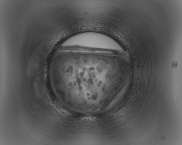X0000088870691200706291540