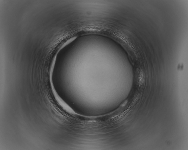 X0000088870692200706291540