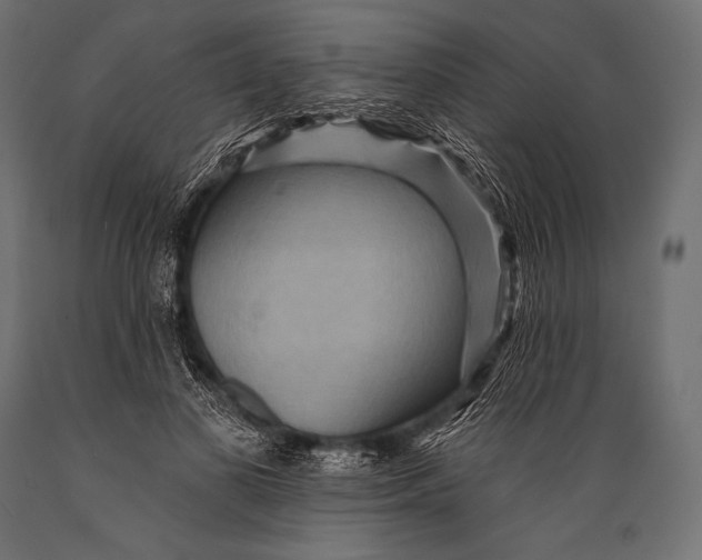 X0000088870693200706291540