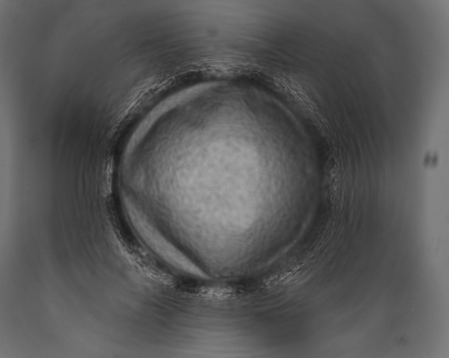 X0000088870694200706291540