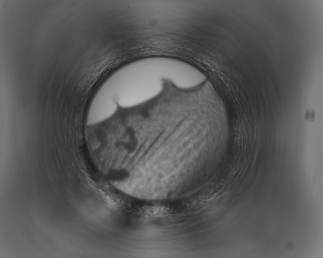 X0000088870695200706291540