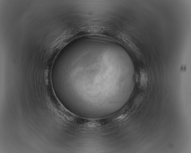 X0000088870696200706291540