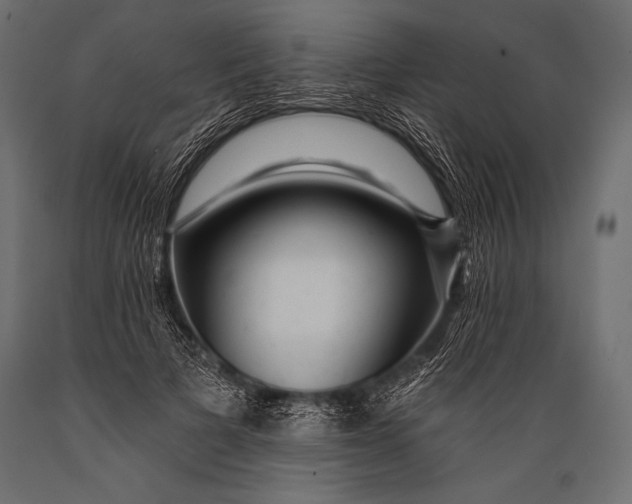 X0000088870697200706291540